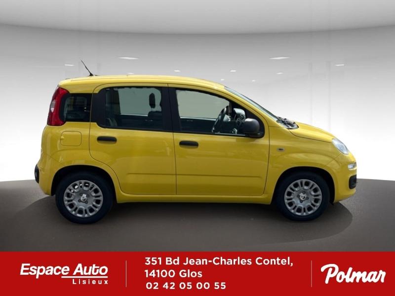 FIAT Pandina
