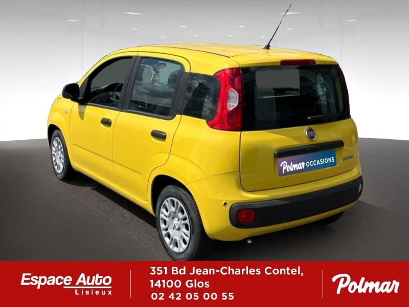 FIAT Pandina